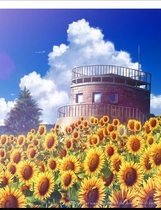 358 - 夏空的英仙座 夏空のペルセウス中文汉化硬盘版