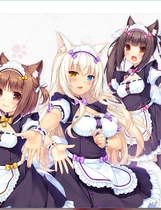 446 - 艹猫隐窟2 巧克力与香子兰2 汉化硬盘版